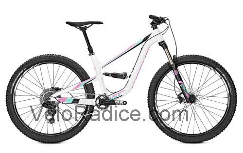 Focus Vice scheda tecnica e recensioni